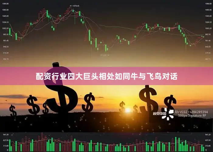 配资行业四大巨头相处如同牛与飞鸟对话