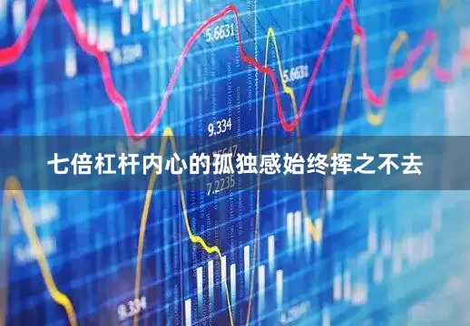 七倍杠杆内心的孤独感始终挥之不去
